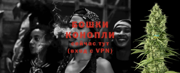 мдпв Надым