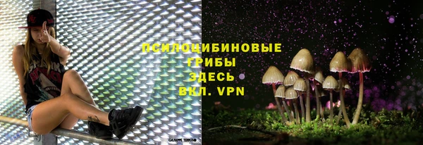 мдпв Наволоки