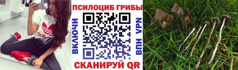 Псилоцибиновые грибы ЛСД  Перевоз 